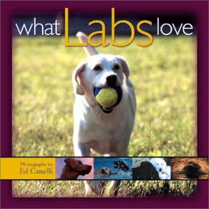 Books About Love - What Labs Love (Pets)