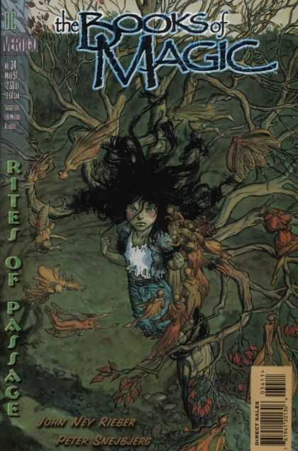 Books of Magic 34 - Neil Gaiman - Comic - Dc - Magician - Vertigo - Michael Kaluta