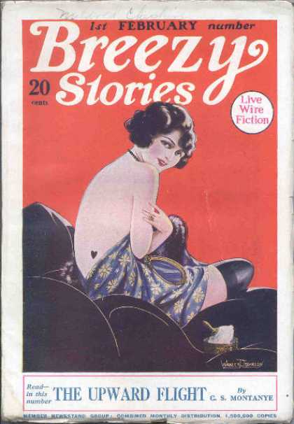 Breezy Stories - 2/1925