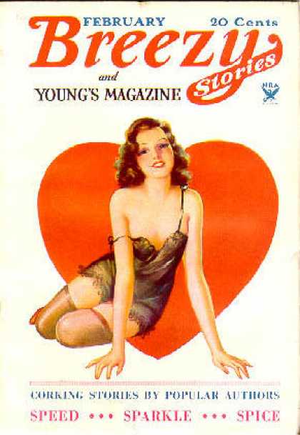 Breezy Stories - 2/1934