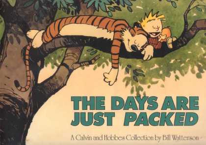 Calvin and Hobbes 8
