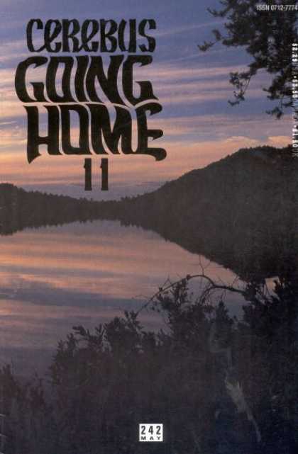Cerebus 242 - Going Home - Going Home 11 - 11 - Sky - Reflection