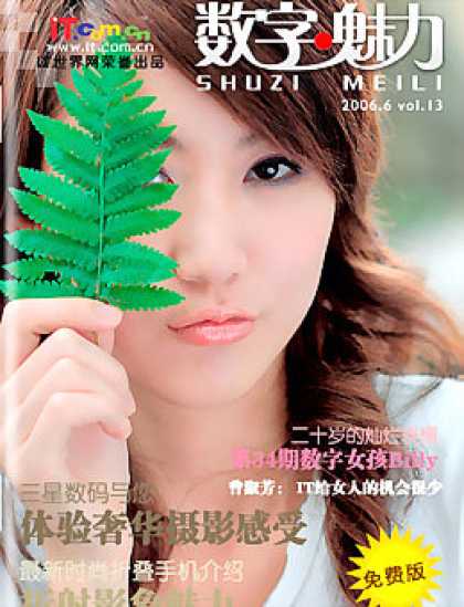 Chinese Ezines - Shuzi Meili
