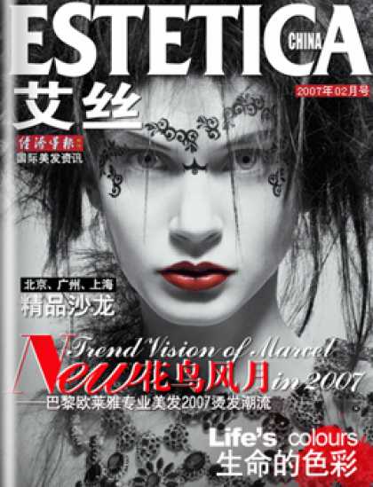 Chinese Ezines 5419 - Estetica China - Trend Vision - Lifes Colours