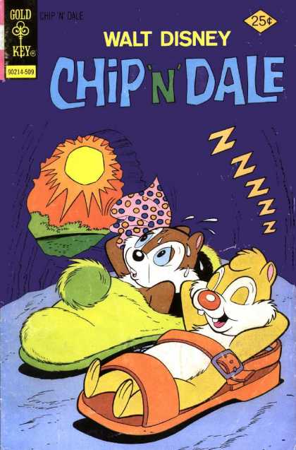 Chip 'n' Dale 35 - Chipmunks - Slipper - Sandal - Sun - Sleep