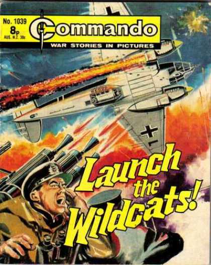 Commando 1039 - Aero Plane - Mission - Sky - Wildcats - Police