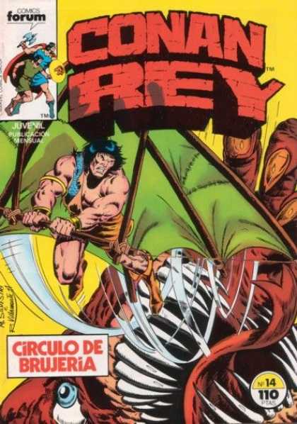 Conan Rey 14