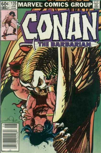 Conan The Barbarian - Hawk - Bird - Fighting - Conan - Walter Simonson Conan the Barbarian 135 - Conan The Barbarian - Hawk - Bird - Fighting - Conan - Walter Simonson