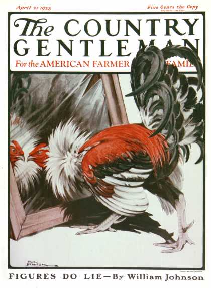 Country Gentleman - 1923-04-21: Fancy Rooster in Mirror (Paul Bransom)