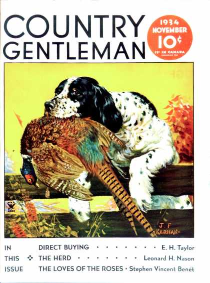 Country Gentleman - 1934-11-01: Retriever with Pheasant (J.F. Kernan)