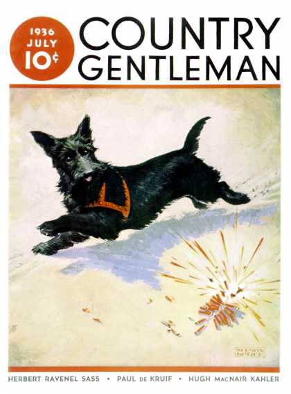 Country Gentleman - 1936-07-01: Dog & Firecrackers (Nelson Grofe)