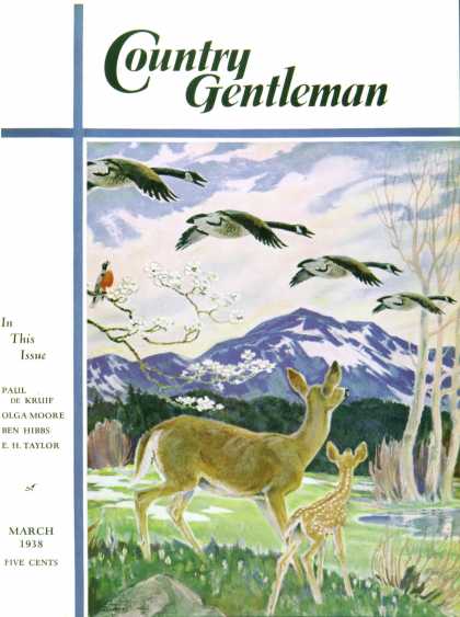 Country Gentleman - 1938-03-01: Spring in the Meadow (Paul Bransom)