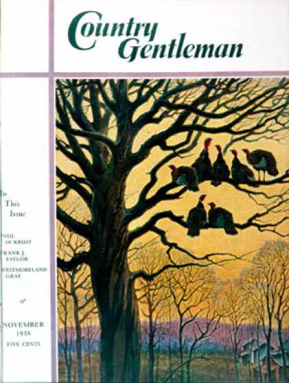 Country Gentleman - 1938-11-01: Wild Turkeys Roosting (Paul Bransom)