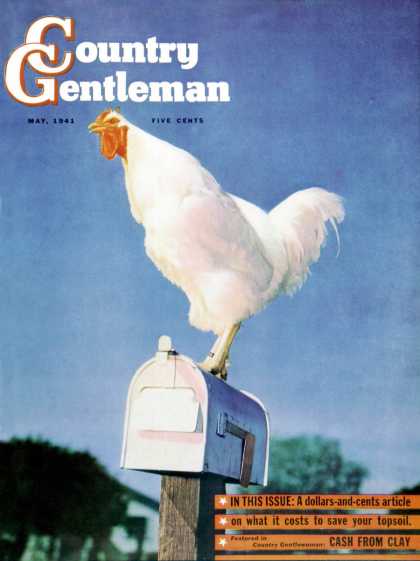 Country Gentleman - 1941-05-01: Rooster on Mailbox (Unknown)