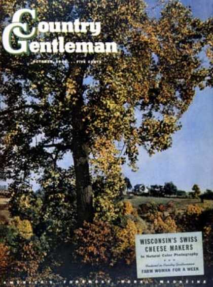 Country Gentleman - 1941-10-01: Tree (Unknown)