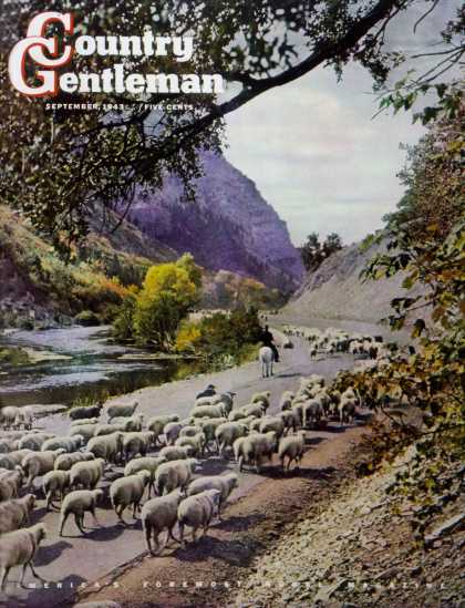 Country Gentleman - 1943-09-01: Herding Sheep (Mike Roberts)