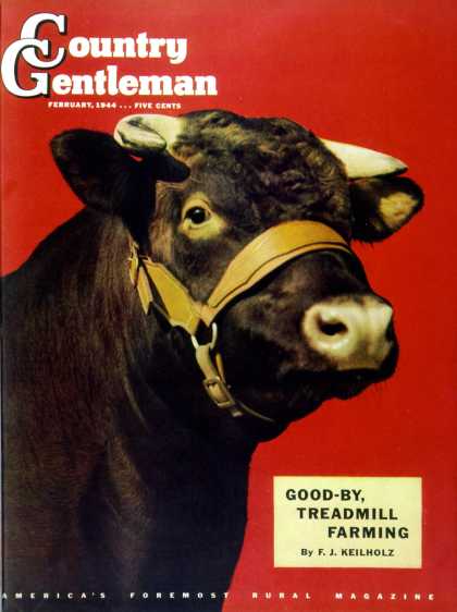 Country Gentleman - 1944-02-01: Black Bull (Salvadore Pinto)