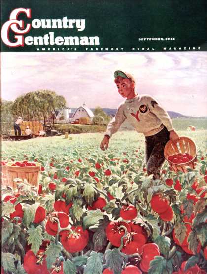 Country Gentleman - 1945-09-01: Picking Tomatoes (John Clymer)