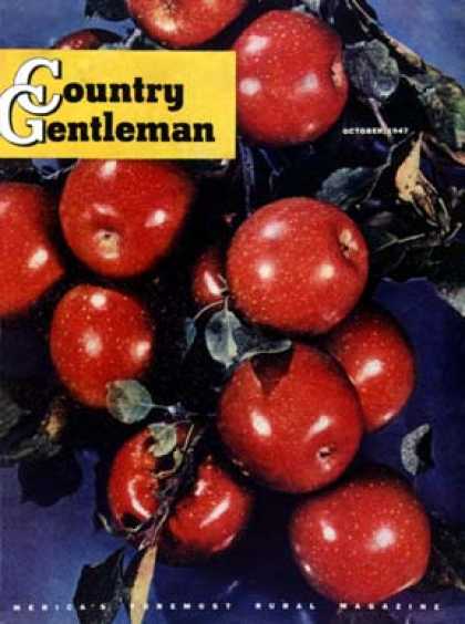 Country Gentleman - 1947-10-01: Ripe Red Apples (Jon Fujita)