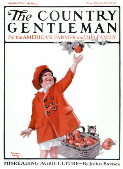 Country Gentleman - 1923-09-29: Picking Apples (WM. Hoople)