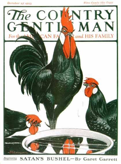 Country Gentleman - 1923-10-27: Fowl Reflections (Paul Bransom)