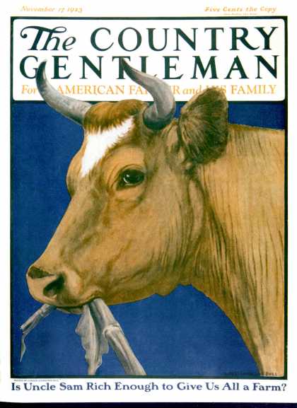 Country Gentleman - 1923-11-17: Cow Chewing Corn Stalk (Charles Bull)