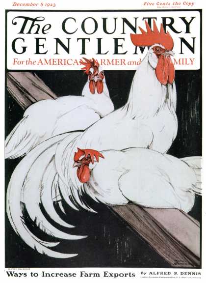 Country Gentleman - 1923-12-08: Roosting Rooster & Hens (Paul Bransom)