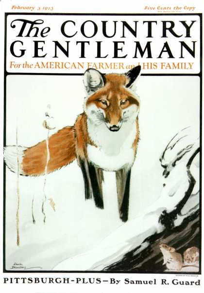 Country Gentleman - 1923-02-03: Mice Hiding from Fox (Paul Bransom)