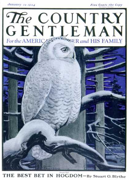 Country Gentleman - 1924-01-12: Snowy Owl In Forest at Night (Paul Bransom)
