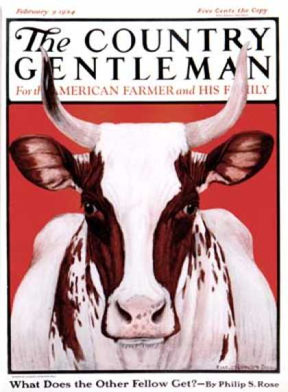 Country Gentleman - 1924-02-09: Texas Longhorn (Charles Bull)