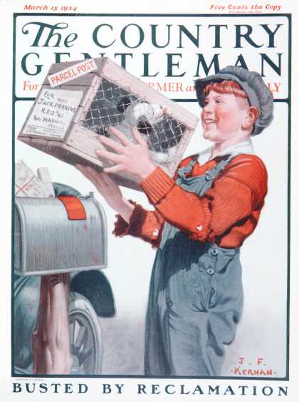 Country Gentleman - 1924-03-15: Puppy by Parcel Post (J.F. Kernan)
