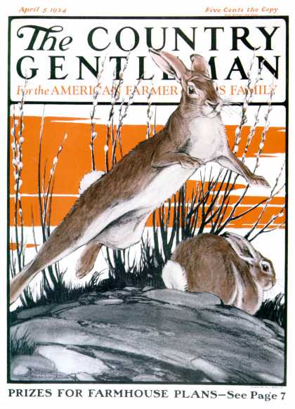 Country Gentleman - 1924-04-05: Rabbits in Pussy Willows (Paul Bransom)