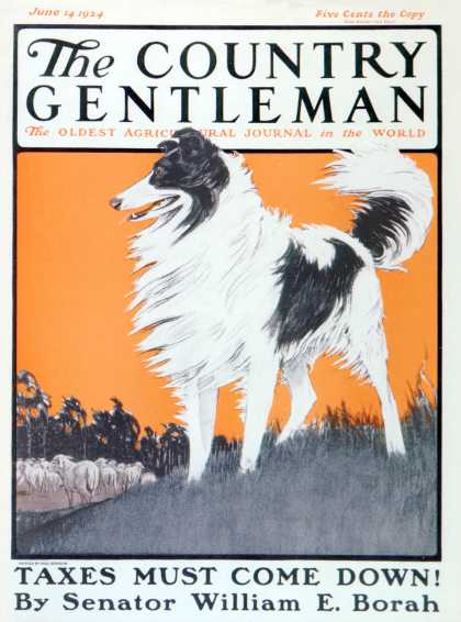 Country Gentleman - 1924-06-14: Sheepdog Oversees Flock (Paul Bransom)