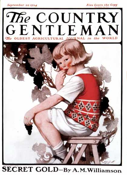 Country Gentleman - 1924-09-20: Little Girl and Grapes (Sarah Stilwell-Weber)