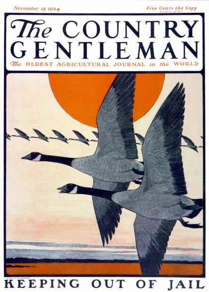Country Gentleman - 1924-11-15: Flock of Geese in Formation (Paul Bransom)