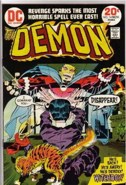 Demon 14 - Cat - Fire - Cape - Purple Coat - Bodysuit - Jack Kirby