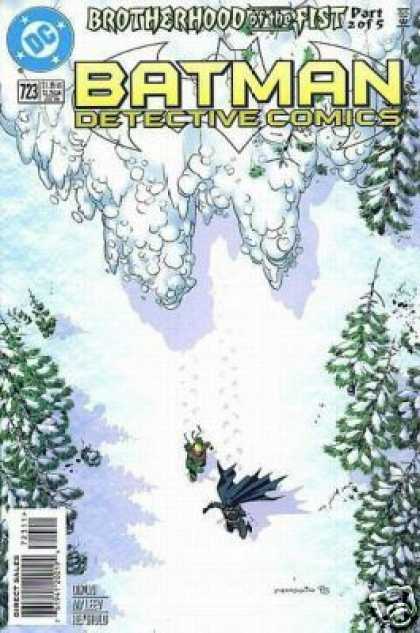 Detective Comics 723 - Snow - Batman - Robin - Trees - Avalanche