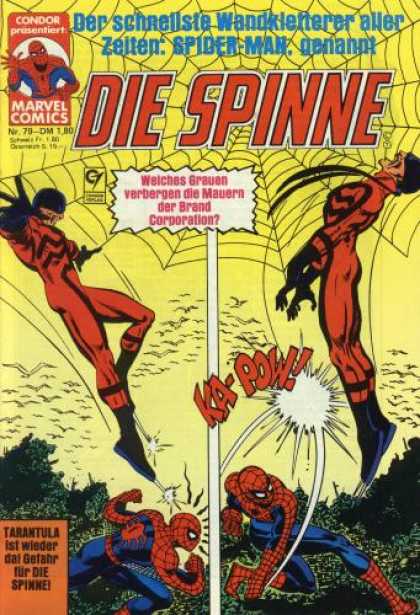 Die Spinne 239