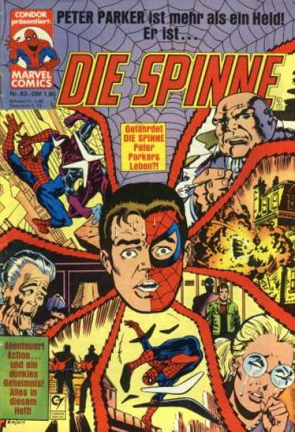 Die Spinne 243