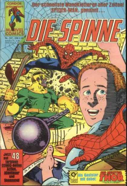 Die Spinne 267