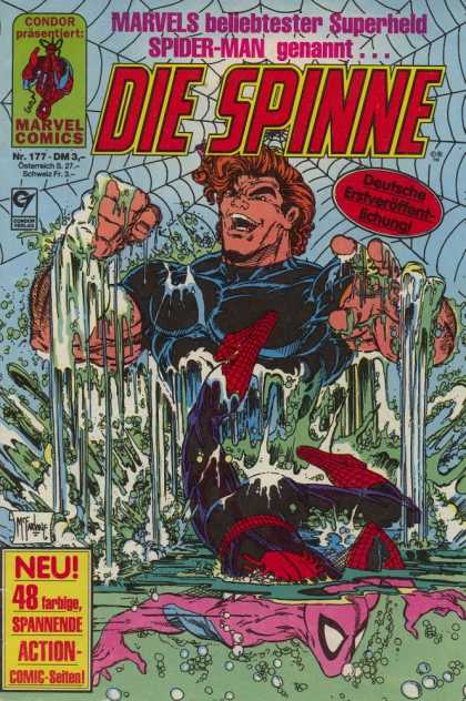 Die Spinne 337