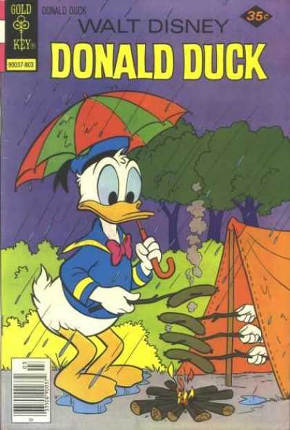Donald Duck 193