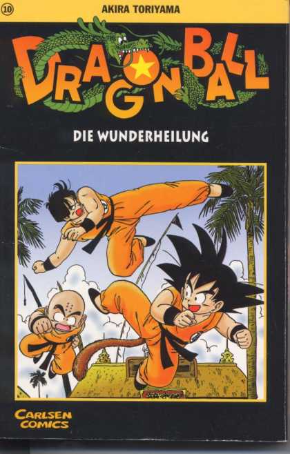 Dragonball 13