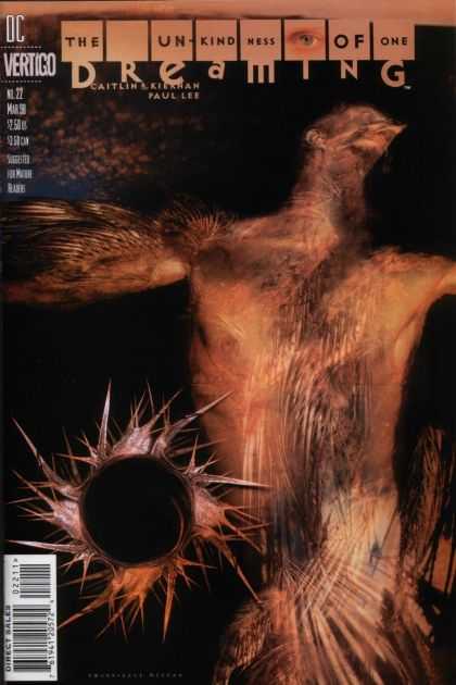 Dreaming 22 - Dave McKean