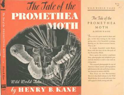 Dust Jackets - The tale of the promethea