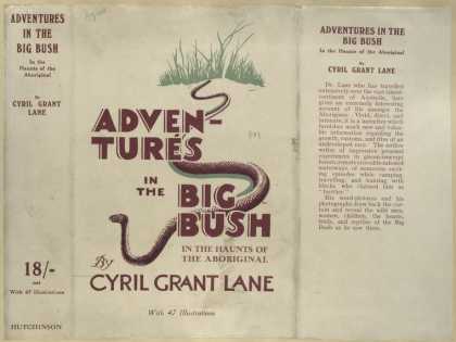 Dust Jackets - Adventures in the big bus