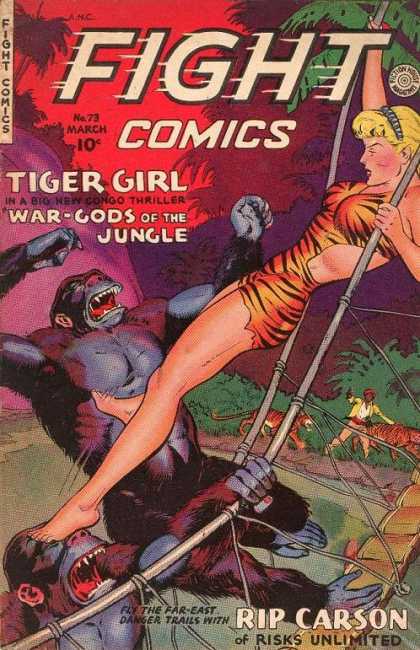 Fight Comics 73
