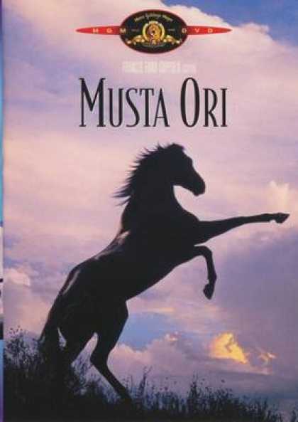 Finnish DVDs - The Black Stallion