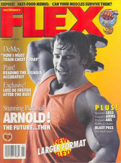 Flex - January 1991