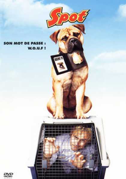 French DVDs - Spot
